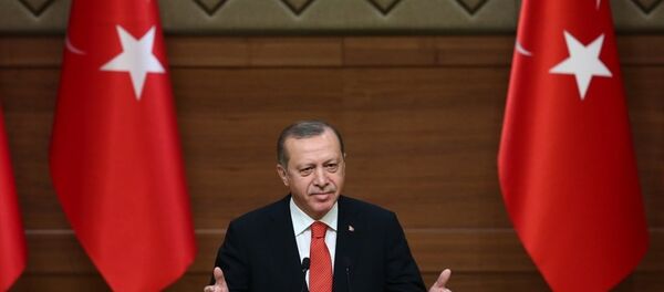 Cumhurbaşkanı Recep Tayyip Erdoğan - Sputnik Türkiye