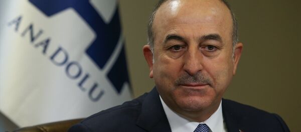 Dışişleri Bakanı Mevlüt Çavuşoğlu - Sputnik Türkiye