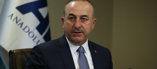 Dışişleri Bakanı Mevlüt Çavuşoğlu - Sputnik Türkiye