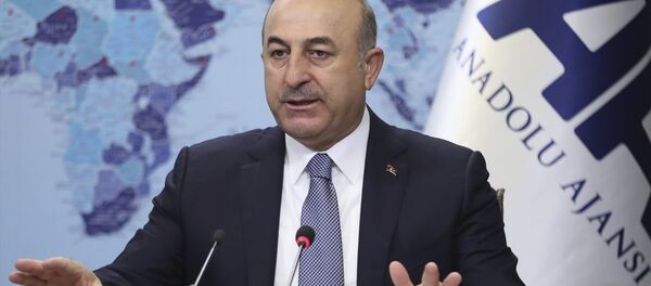 Dışişleri Bakanı Mevlüt Çavuşoğlu - Sputnik Türkiye