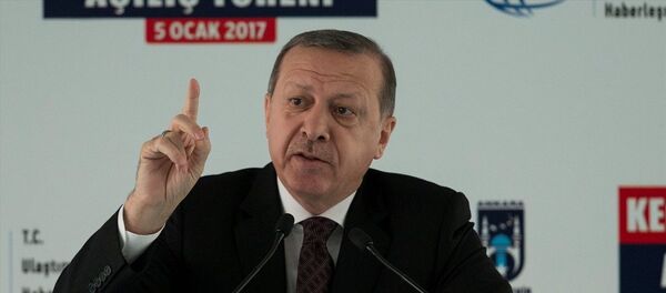 Cumhurbaşkanı Recep Tayyip Erdoğan - Sputnik Türkiye