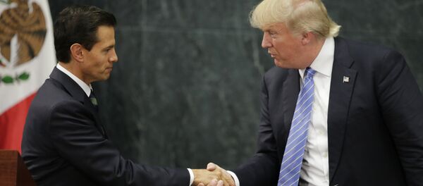 ABD'nin yeni başkanı Donald Trump ve Meksika Devlet Başkanı Enrique Pena Nieto - Sputnik Türkiye