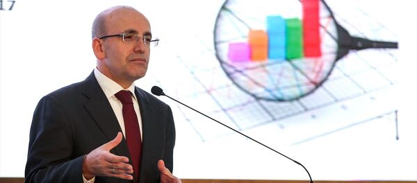 Başbakan Yardımcısı Mehmet Şimşek - Sputnik Türkiye