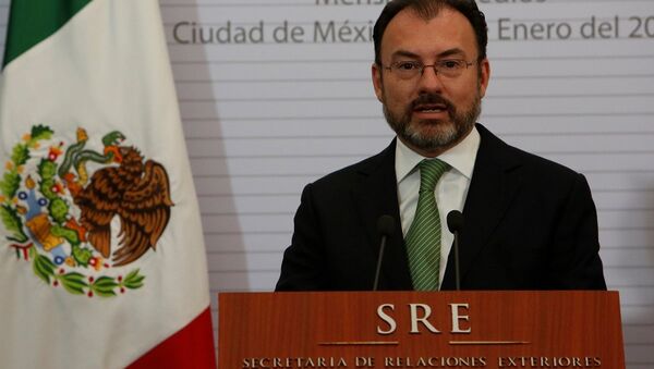 Meksika'nın yeni Dışişleri Bakanı Luis Videgaray - Sputnik Türkiye