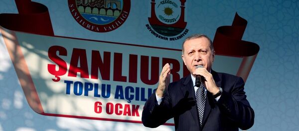 Cumhurbaşkanı Recep Tayyip Erdoğan - Sputnik Türkiye