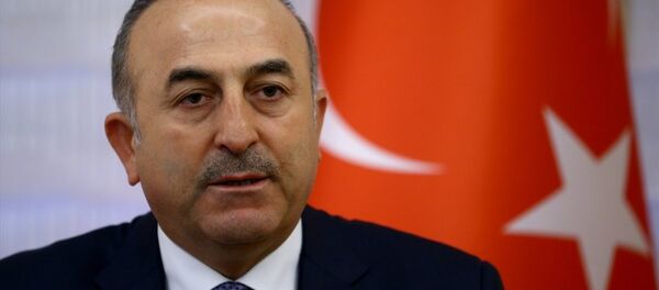 Mevlüt Çavuşoğlu - Sputnik Türkiye