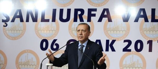 Recep Tayyip Erdoğan - Sputnik Türkiye