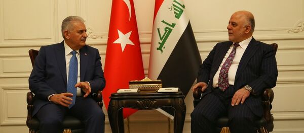 İbadi ve Yıldırım - Sputnik Türkiye