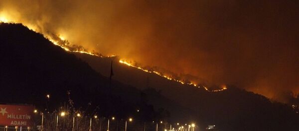 Trabzon'un Sürmene ilçesinde çıkan orman yangını söndürüldü. - Sputnik Türkiye