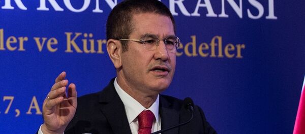 Başbakan Yardımcısı Nurettin Canikli - Sputnik Türkiye