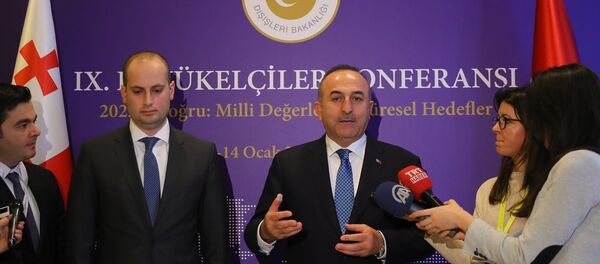 Dışişleri Bakanlığı tarafından düzenlenen 9. Büyükelçiler Konferansı ikinci gününde devam etti. Konferansa katılan Gürcistan Dışişleri Bakanı Mikheil Janelidze ile Dışişleri Bakanı Mevlüt Çavuşoğlu ikili görüşme gerçekleştirdi. - Sputnik Türkiye