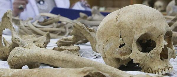 iskelet - kemik - Sputnik Türkiye