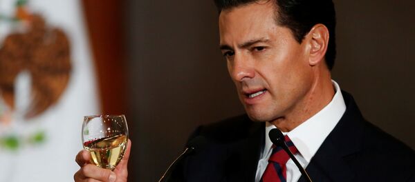 Meksika Devlet Başkanı Enrique Pena Nieto - Sputnik Türkiye