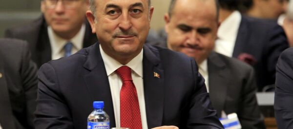 Dışişleri Bakanı Mevlüt Çavuşoğlu - Sputnik Türkiye