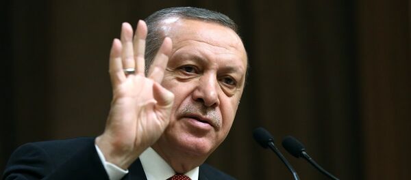 Recep Tayyip Erdoğan - Sputnik Türkiye
