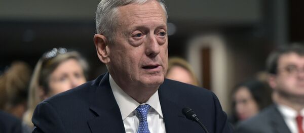 ABD Savunma Bakanı Adayı emekli General James Mattis - Sputnik Türkiye