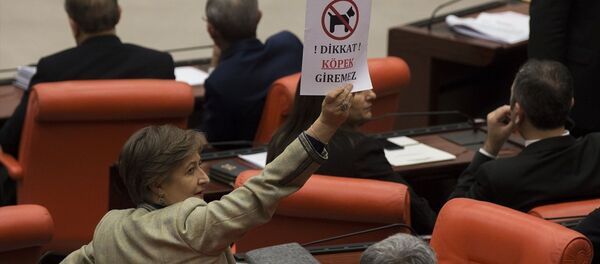 AK Parti İstanbul Milletvekili Mihrimah Belma Satır, üzerinde 'Dikkat, köpek giremez' yazılı afiş gösterdi AK Parti İstanbul Milletvekili Mihrimah Belma Satır, üzerinde 'Dikkat, köpek giremez' yazılı afiş gösterdi - Sputnik Türkiye