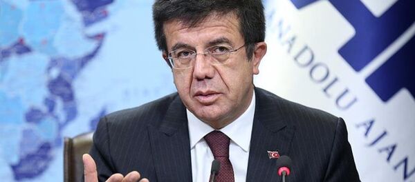 Ekonomi Bakanı Nihat Zeybekci - Sputnik Türkiye