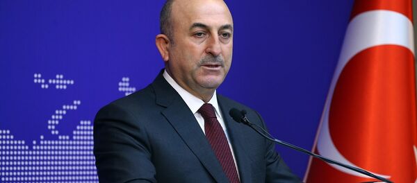 Dışişleri Bakanı Mevlüt Çavuşoğlu - Sputnik Türkiye