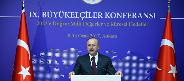 Dışişleri Bakanı Mevlüt Çavuşoğlu - Sputnik Türkiye