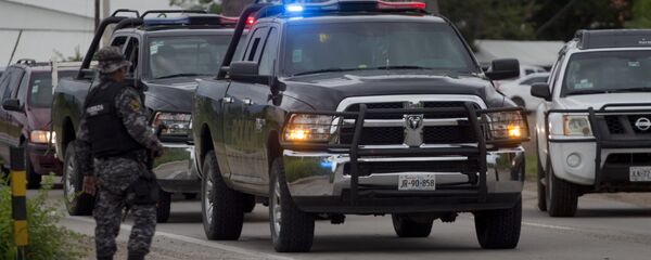 Meksika polisi - Sputnik Türkiye