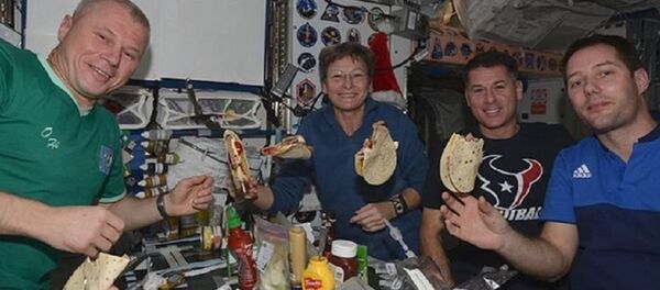 Rus kozmonot UUİ’de - Sputnik Türkiye