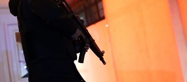 Reina saldırganı - operasyon - Sputnik Türkiye