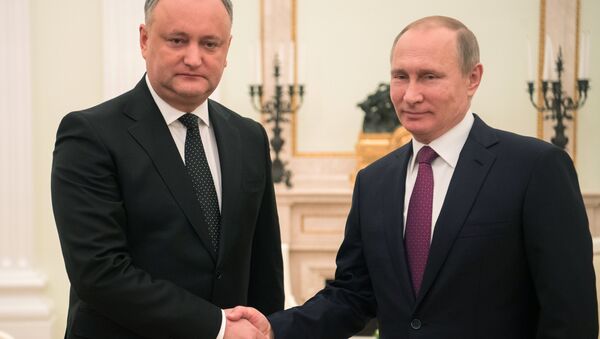 Rusya Devlet Başkanı Putin- Moldova Devlet Başkanı İgor Dodon - Sputnik Türkiye