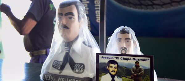 Joaquin El Chapo Guzman, Meksikalı Sinaloa karteli lideri, Bücür - Sputnik Türkiye