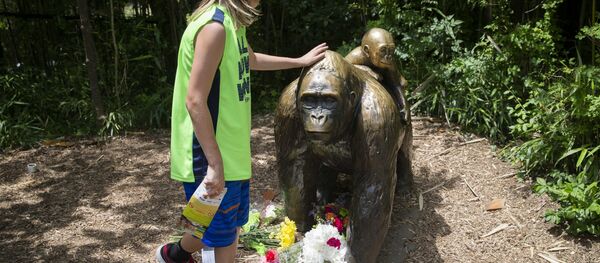 Goril Harambe - Sputnik Türkiye