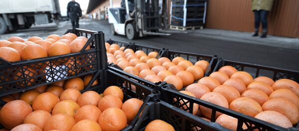 Greyfurt Greyfurt - Sputnik Türkiye