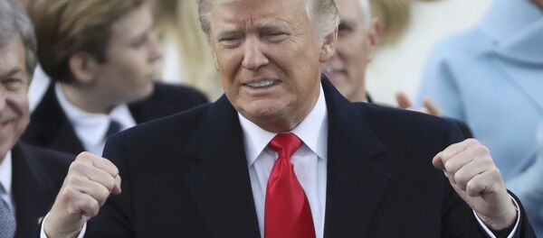 Donald Trump - Sputnik Türkiye