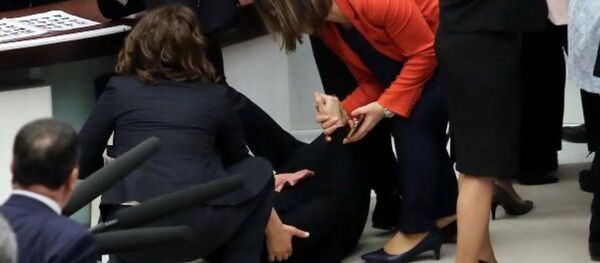 Şafak Pavey - TBMM kavga - Sputnik Türkiye