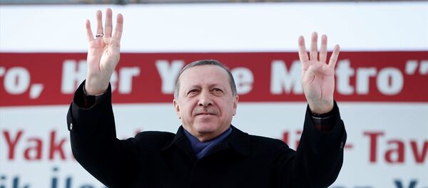 Cumhurbaşkanı Recep Tayyip Erdoğan - Sputnik Türkiye