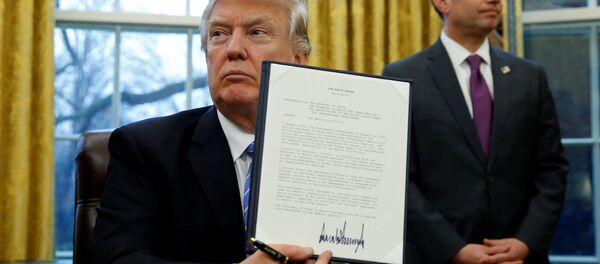 ABD Başkanı Donald Trump - Sputnik Türkiye