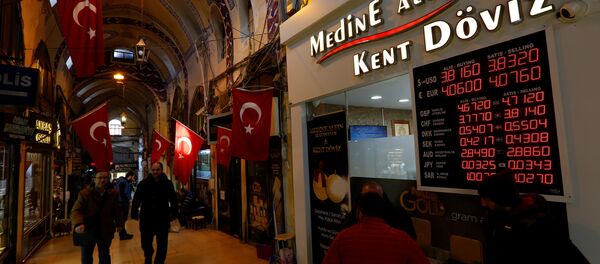 Dolar - Euro - Döviz - Türk lirası - TL - Sputnik Türkiye