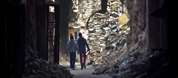 Halep - Sputnik Türkiye