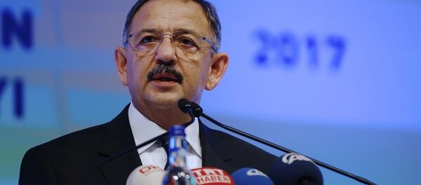 Çevre ve Şehircilik Bakanı Mehmet Özhaseki - Sputnik Türkiye