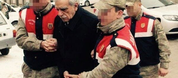 Ahmet Türk - Sputnik Türkiye