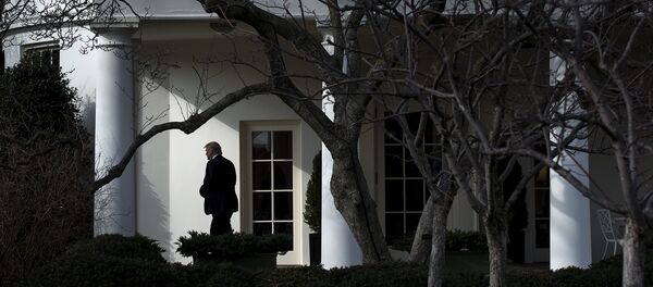 Donald Trump Beyaz Saray'da - Sputnik Türkiye