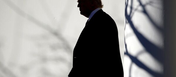 Donald Trump - Sputnik Türkiye