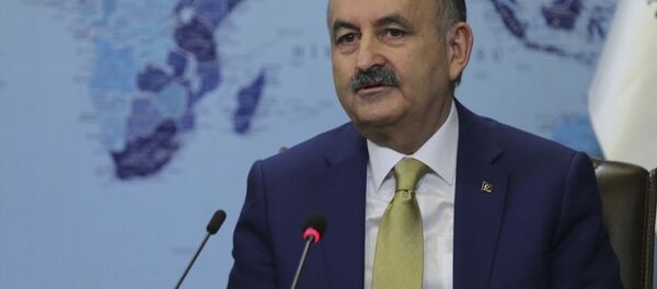 Çalışma ve Sosyal Güvenlik Bakanı Mehmet Müezzinoğlu - Sputnik Türkiye