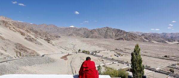 Hindistan'ın Himalayalar'daki Ladakh bölgesinde genç bir Budist rahip Hindistan'ın Himalayalar'daki Ladakh bölgesinde genç bir Budist rahip - Sputnik Türkiye
