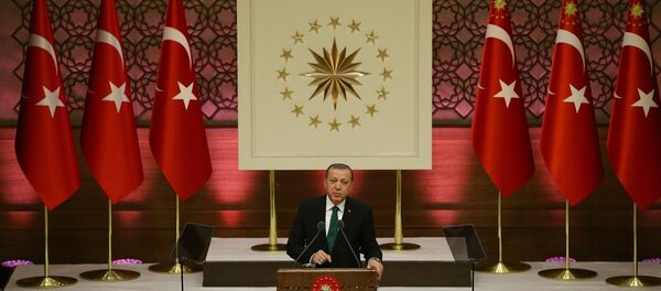 Cumhurbaşkanı Recep Tayyip Erdoğan - Sputnik Türkiye