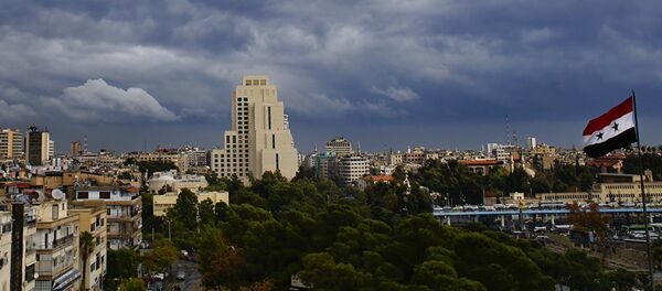 Suriye- Şam - Sputnik Türkiye