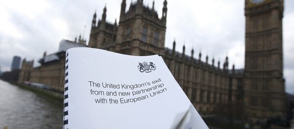 Beyaz Kitap - Sputnik Türkiye