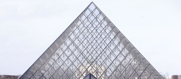 Louvre Müzesi'nde gergin anlar - Sputnik Türkiye