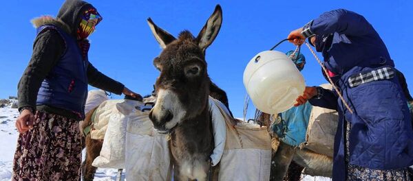 Güvercin köylüleri - Sputnik Türkiye