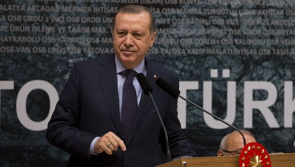 Rcep Tayyip Erdoğan - Sputnik Türkiye