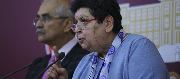 TBMM İnsan Haklarını İnceleme Komisyonu Başkanvekili CHP'li Şenal Sarıhan - Sputnik Türkiye